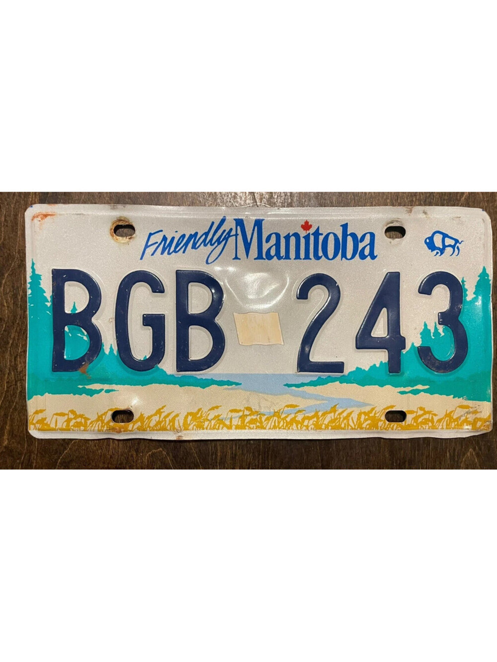 Manitoba License Plate MB Canada Canadian Vintage Expired Province BGB 243